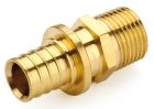 General Fittings муфта натяжна НР 3/4`-25х3.5 (340001H052535A)