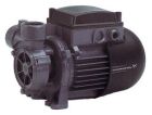 Садовий насос Grundfos PFBasic 1-30