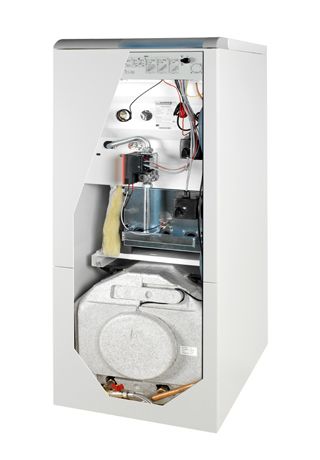 Газовий котел Protherm ВЕДМЕДЬ 20 PLO димохід (20PLOR15)