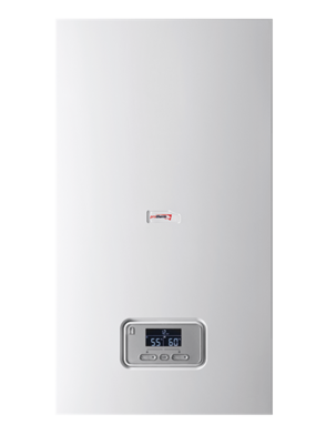 Газовий котел Protherm Panther 30 KTV (Пантера) (0010015315)